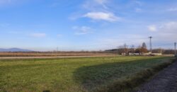 Eladó Panorámás Építési Telek Pócsmegyeren – 700 m² Lf-4 Csendes Utcában