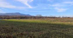 Eladó Panorámás Építési Telek Pócsmegyeren – 700 m² Lf-4 Csendes Utcában