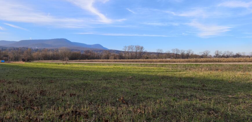 Eladó Panorámás Építési Telek Pócsmegyeren – 700 m² Lf-4 Csendes Utcában